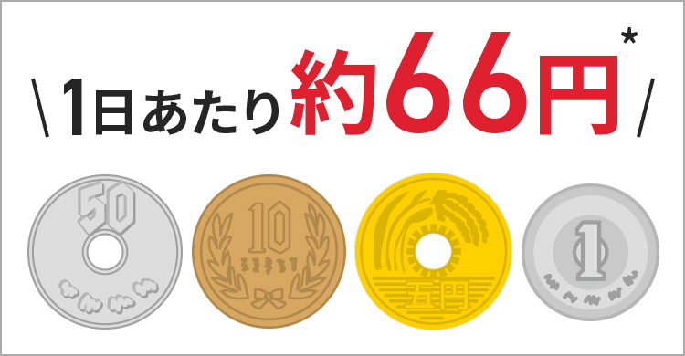 1日あたり66円